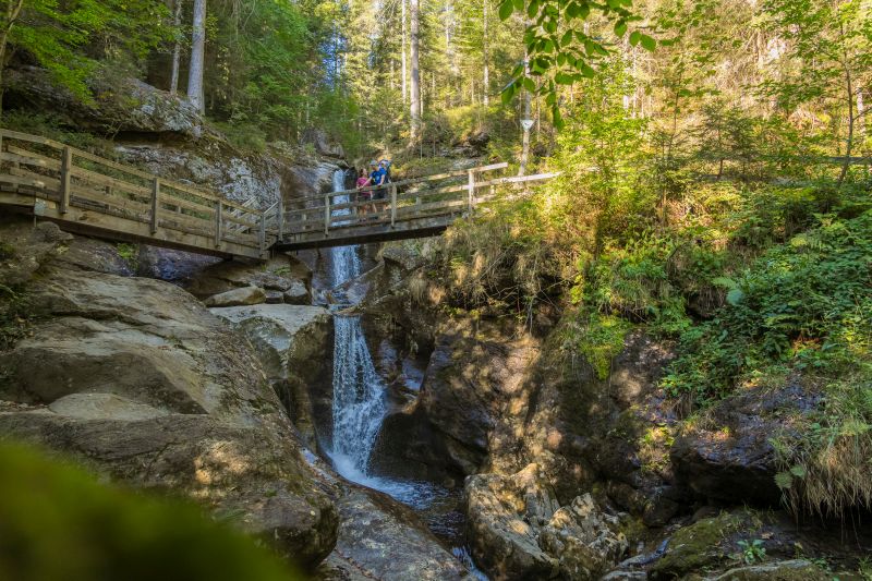 In der Nähe des Hotels Bodenmais überspannt eine Holzbrücke einen Wasserfall in einem üppigen Wald, wo Besucher innehalten und die atemberaubende Landschaft auf sich wirken lassen.