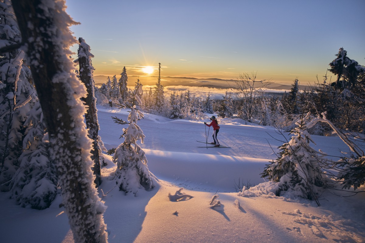 Eine Person fährt Langlauf durch einen verschneiten Wald bei Sonnenaufgang mit goldenem Licht auf dem Schnee.