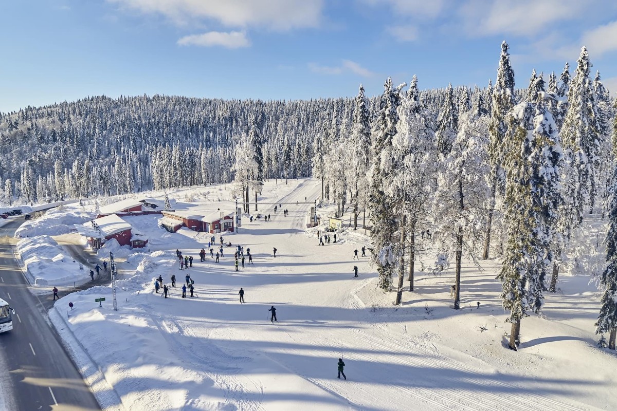 Spaziergänger und Skifahrer in einer verschneiten Landschaft mit hohen, schneebedeckten Bäumen und roten Gebäuden unter blauem Himmel.