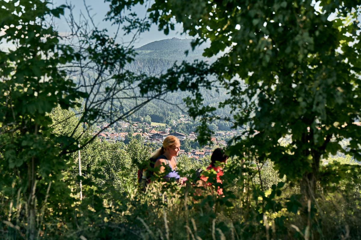 Wanderung Sternkn&ouml;ckel